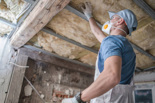 Best Insulation for Specific Applications in Goleta, CA