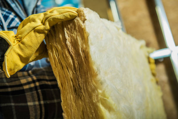 Best Insulation Maintenance and Repair in Goleta, CA