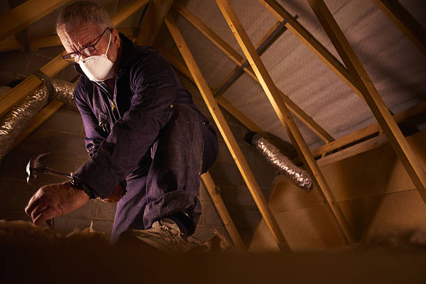 Best Insulation Materials and Products in Goleta, CA